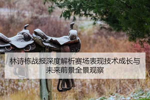 林诗栋战报深度解析赛场表现技术成长与未来前景全景观察