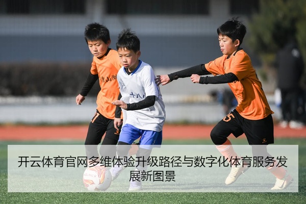 开云体育官网多维体验升级路径与数字化体育服务发展新图景