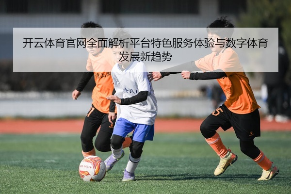 开云体育官网全面解析平台特色服务体验与数字体育发展新趋势